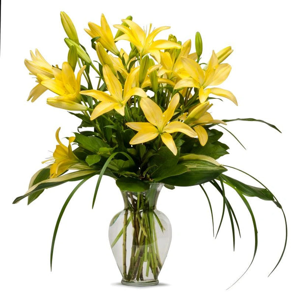 Vase with 10 Stems of Yellow Lilies