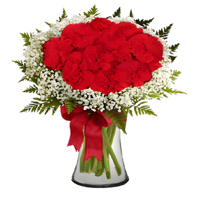 Red Carnations