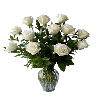 12 White Roses