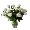 12 White Roses