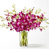 12 orchids