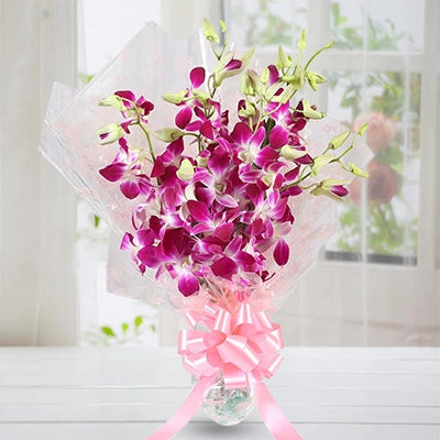 Sonia Orchids