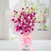 Sonia Orchids