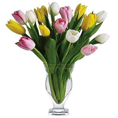 20 Mixed Tulips