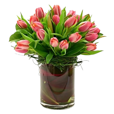 20 Tulips