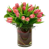 20 Tulips