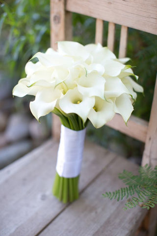 20 White Cala Lilies