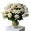 24 White Rose in Vase