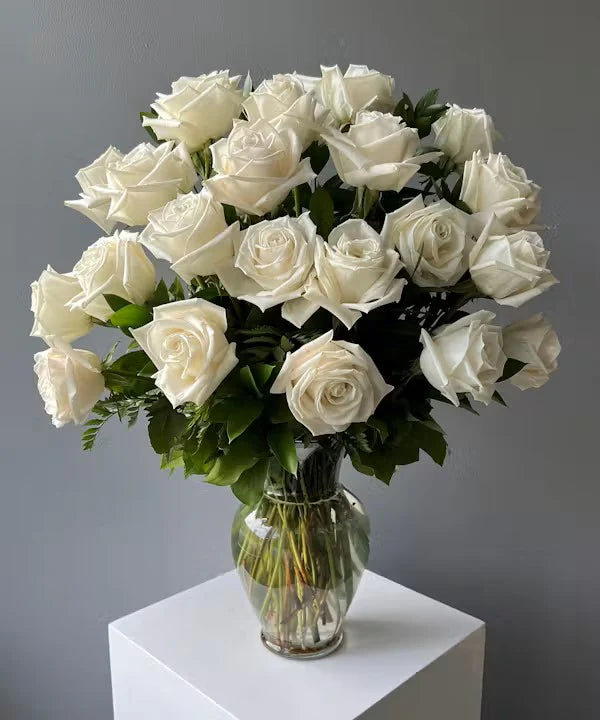 24 White Rose in Vase
