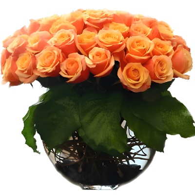 Orange Rose Glass