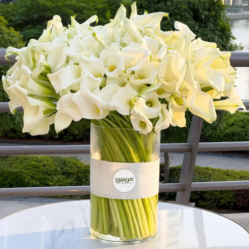 30 Stems of Calla Lilies in a Vase