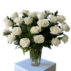 36 White Roses