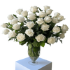 48 White Roses