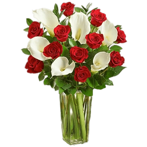 Roses & Lilies