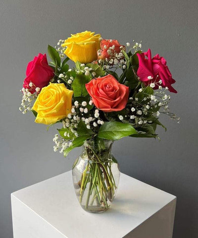 6 Mixed Roses