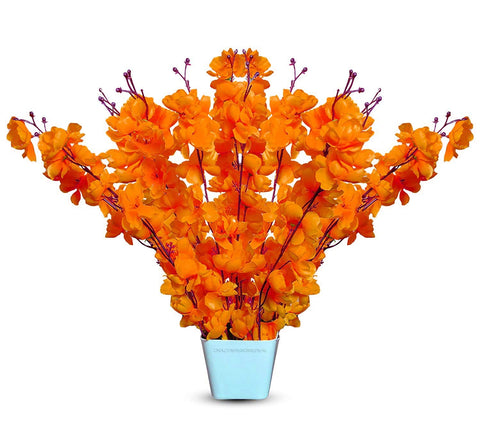 Orange  Mokara Orchids