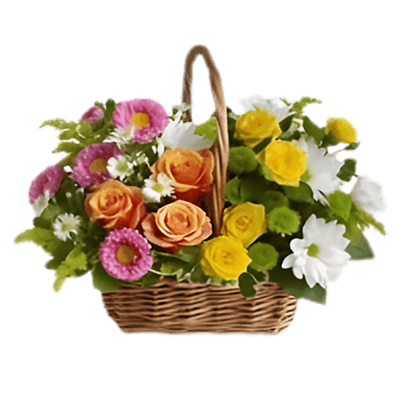 Basket Of Joy