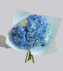 Blue Hydrangea