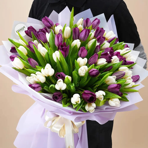 Bouquet of 80 Purple & White Tulips