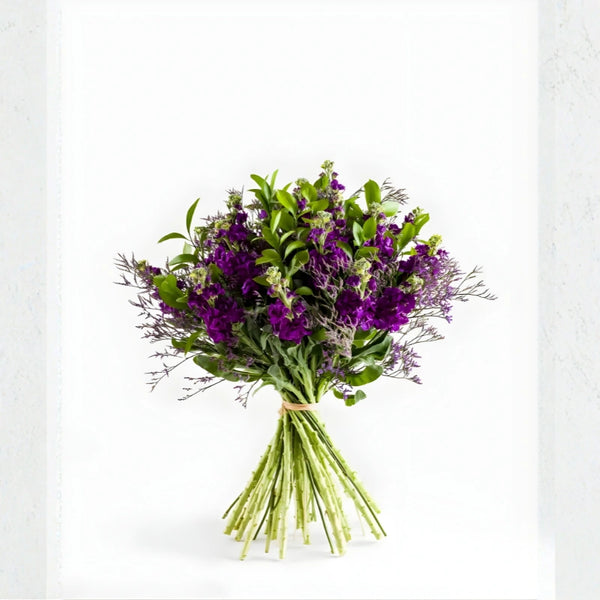 Bouquet of purple flowers with green leaves on a white background