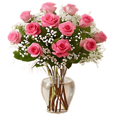 Premium Long Stem Pink Roses