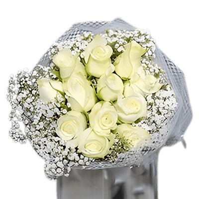 12 White Roses