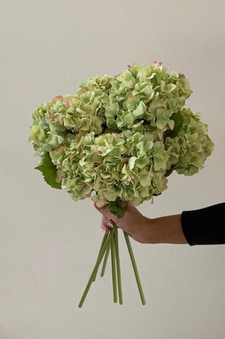 Green Hydrangea Bouquet