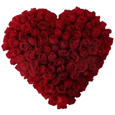 Heart Shaped 60 Red Roses Arrangement