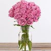 Pink Petal Roses