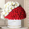 52 Flowers with Orkide Red Rose Box