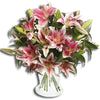 Stems Of Pink Lilies