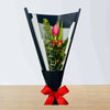 Tulips Hand Bouquet