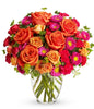 Vase with 60 Stems of Mixed Coloured Roses