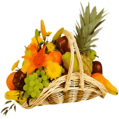 Tropical Basket