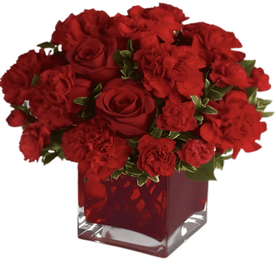 Vase with 10 Red Carnations & 5 Red Roses