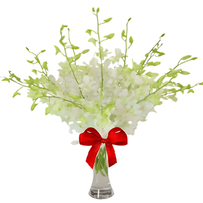 Vase with 20 White Orchids