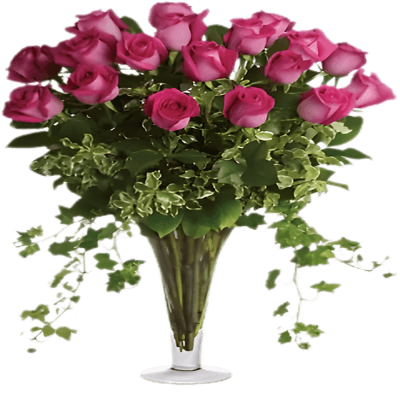 Sweet Pink