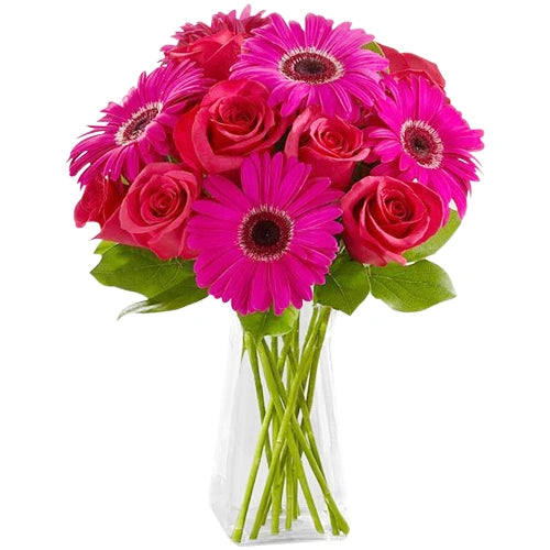 Attractive Pink