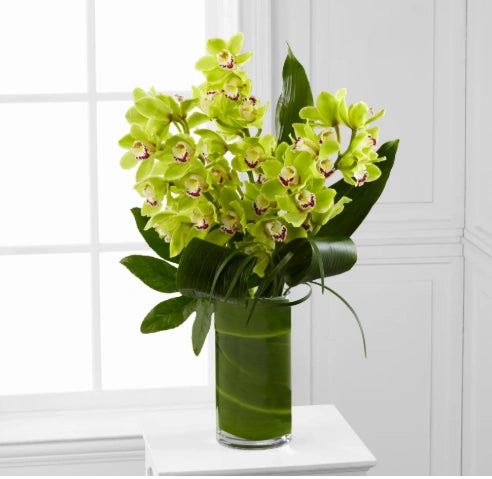 Elegant Green Cymbidium Orchids in a Vase