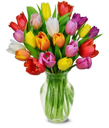 mixed tulips