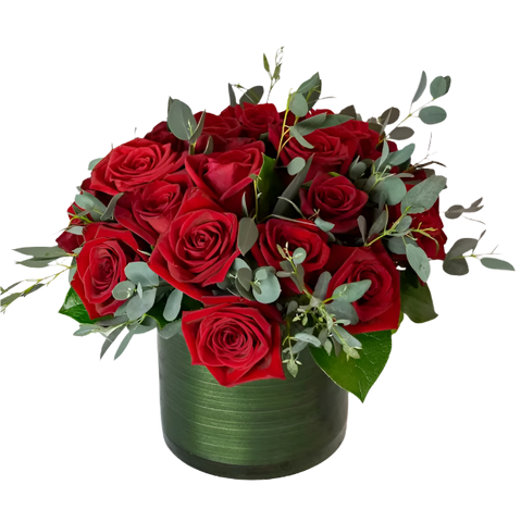 New Romance - Two Dozen Red Roses