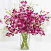 Purple Orchids