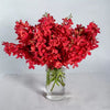 Red Mokara Orchids