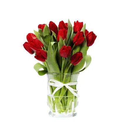 20 Red Tulips