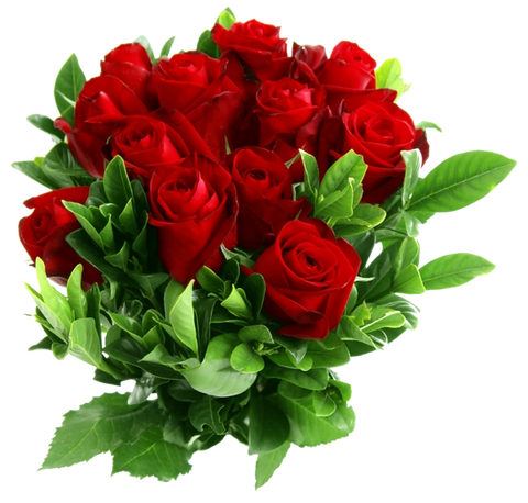 Simple Red Elegant