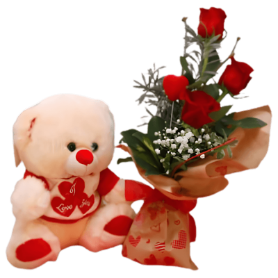 roses and teddy(30cm) combo