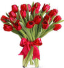 Royal Red Tulips