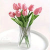 Soft Pink Tulips