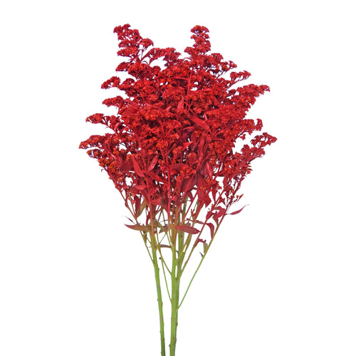 Vase with 20 Red Orchids
