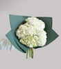 Hydrangea Hand Bouquet